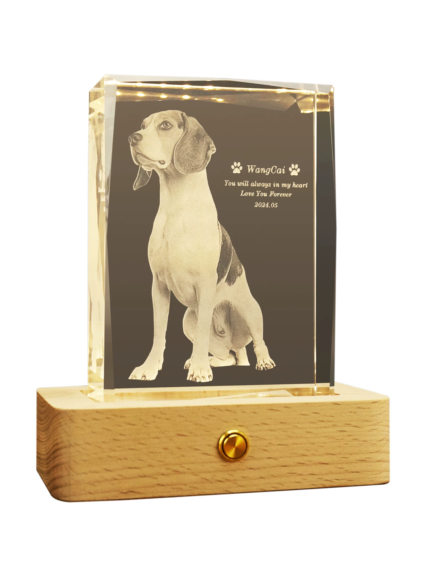 Custom pet memorial水晶 with LED light and wooden base